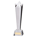 Seattle Star Crystal Award