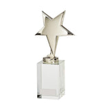 Dallas Crystal & Chrome Award