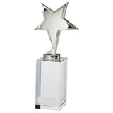 Dallas Crystal & Chrome Award