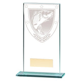 Millennium Fishing Jade Glass Award