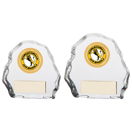Sub-Zero Multisport Award - Trophies - Prudhoe Rosettes