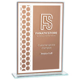 Titanium Mirrored Glass Award Bronze