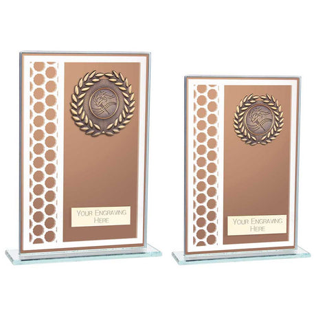 Titanium Multisport Glass Award Bronze - Trophies - Prudhoe Rosettes