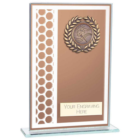 Titanium Multisport Glass Award Bronze