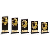Maverick Fusion Golf Black Glass - Trophies - Prudhoe Rosettes