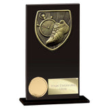 Cobra Running Glass Award