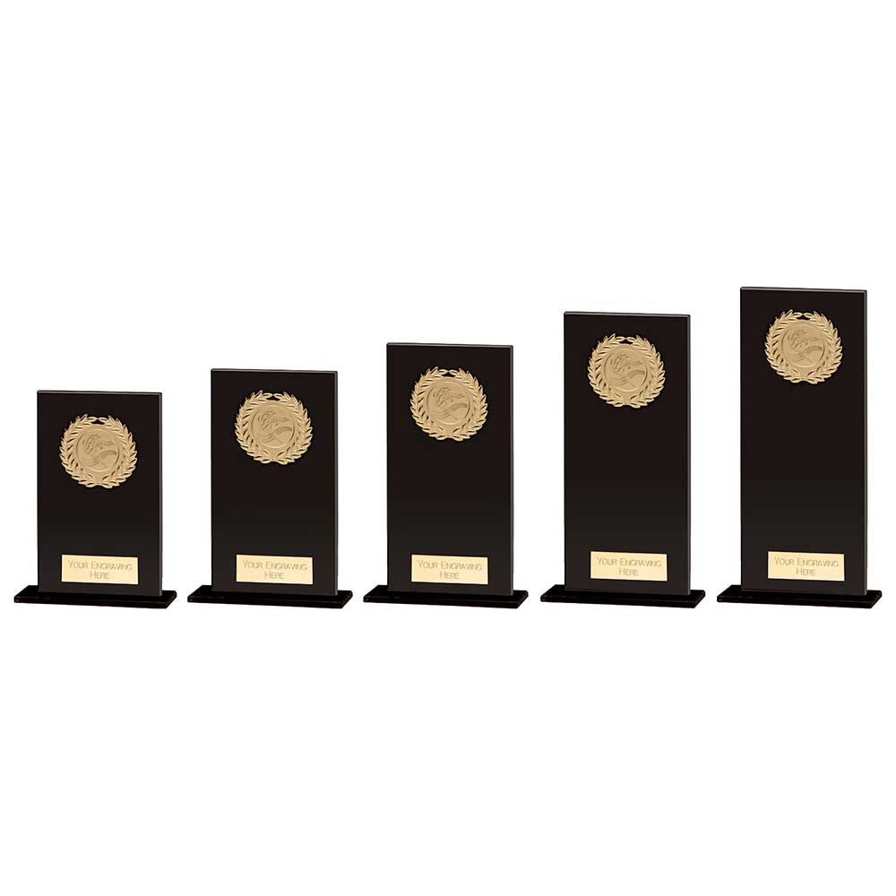 Hero Multisport Glass Award Black - Trophies - Prudhoe Rosettes