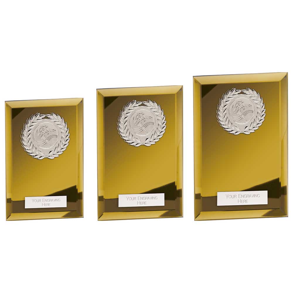Mirage Multisport Mirror Plaque Gold - Trophies - Prudhoe Rosettes