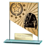 Mustang Martial Arts Jade Glass Award