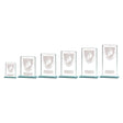 Millennium Boxing Jade Glass Award - Trophies - Prudhoe Rosettes