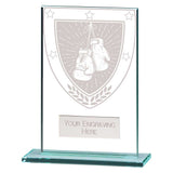 Millennium Boxing Jade Glass Award