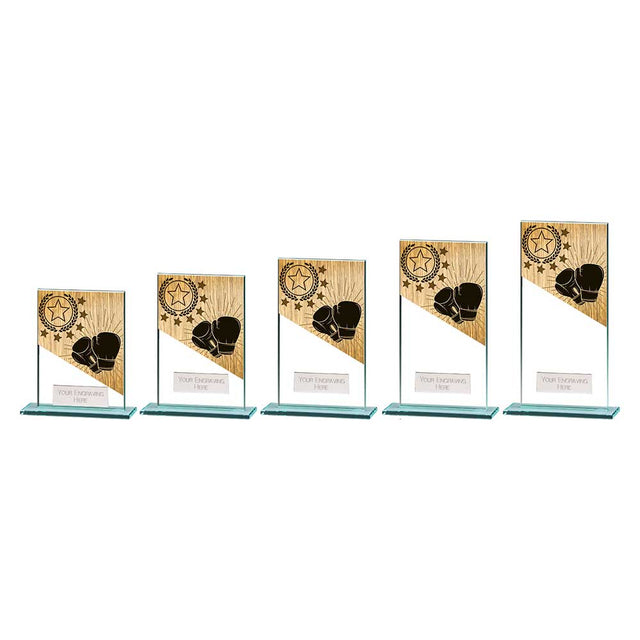 Mustang Boxing Jade Glass Award - Trophies - Prudhoe Rosettes