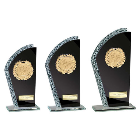 Hawk Multisport Glass Black & Silver - Trophies - Prudhoe Rosettes