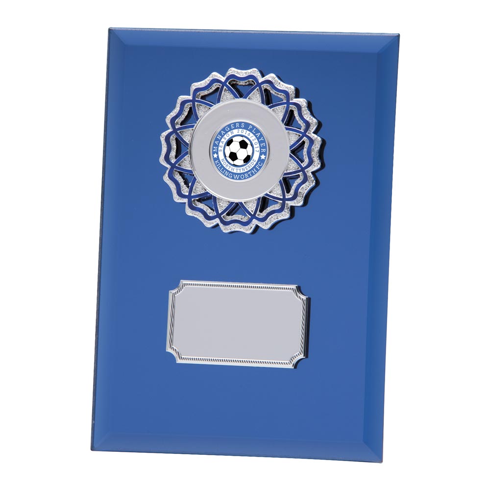 Mirage Multisport Mirror Plaque Blue
