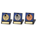 Cascade Stars Netball Medal & Box