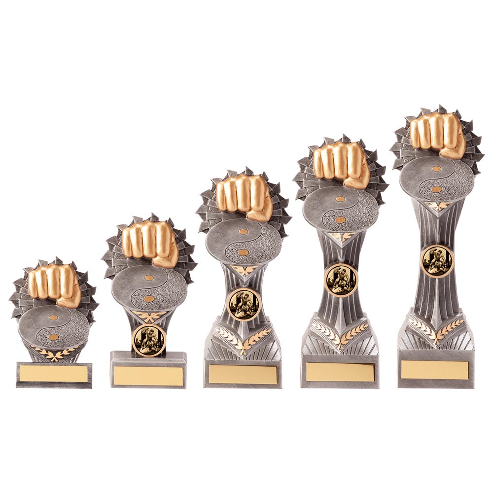 Falcon Martial Arts Award - Medals - Prudhoe Rosettes