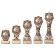 Falcon Football Player of the Year Award - Trophies - Prudhoe Rosettes