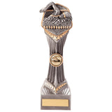 Falcon Swimming Female Award