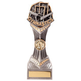 Falcon Gymnastics Award