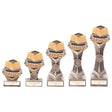 Falcon School Reading Award - Trophies - Prudhoe Rosettes