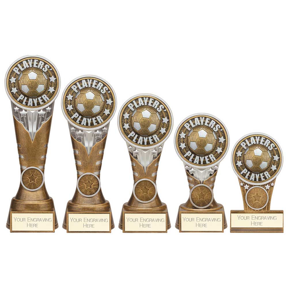 Ikon Tower Players Player Award - Trophies - Prudhoe Rosettes
