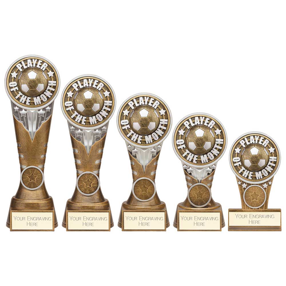 Ikon Tower Player of the Month Award - Trophies - Prudhoe Rosettes