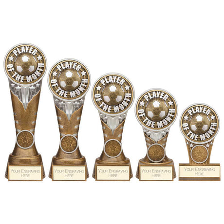 Ikon Tower Player of the Month Award - Trophies - Prudhoe Rosettes