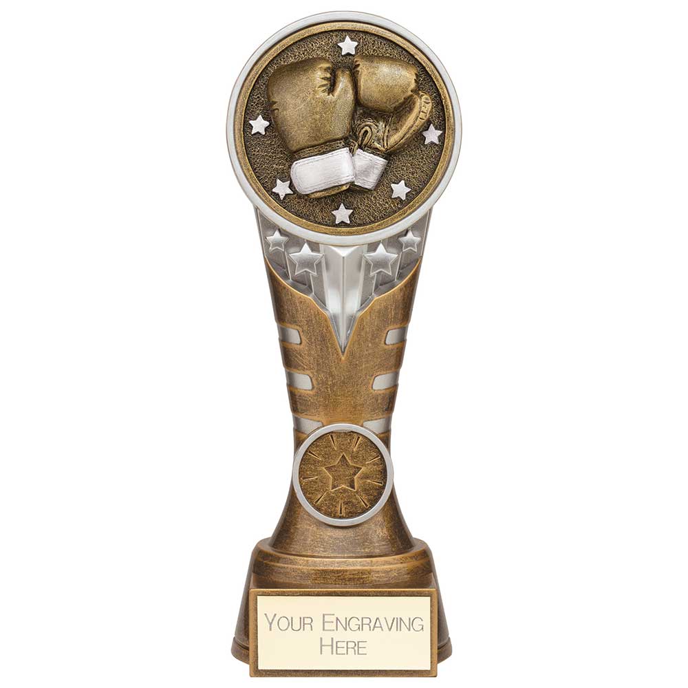 Ikon Tower Boxing Award