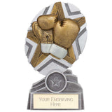 The Stars Boxing Plaque Award