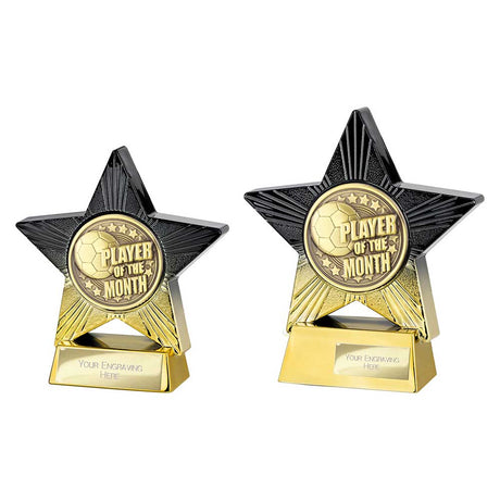 Superstar Player of Month Award - Trophies - Prudhoe Rosettes