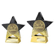 Superstar Star Performer Award - Trophies - Prudhoe Rosettes