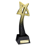 Star Maker Award Gold & Carbon Black