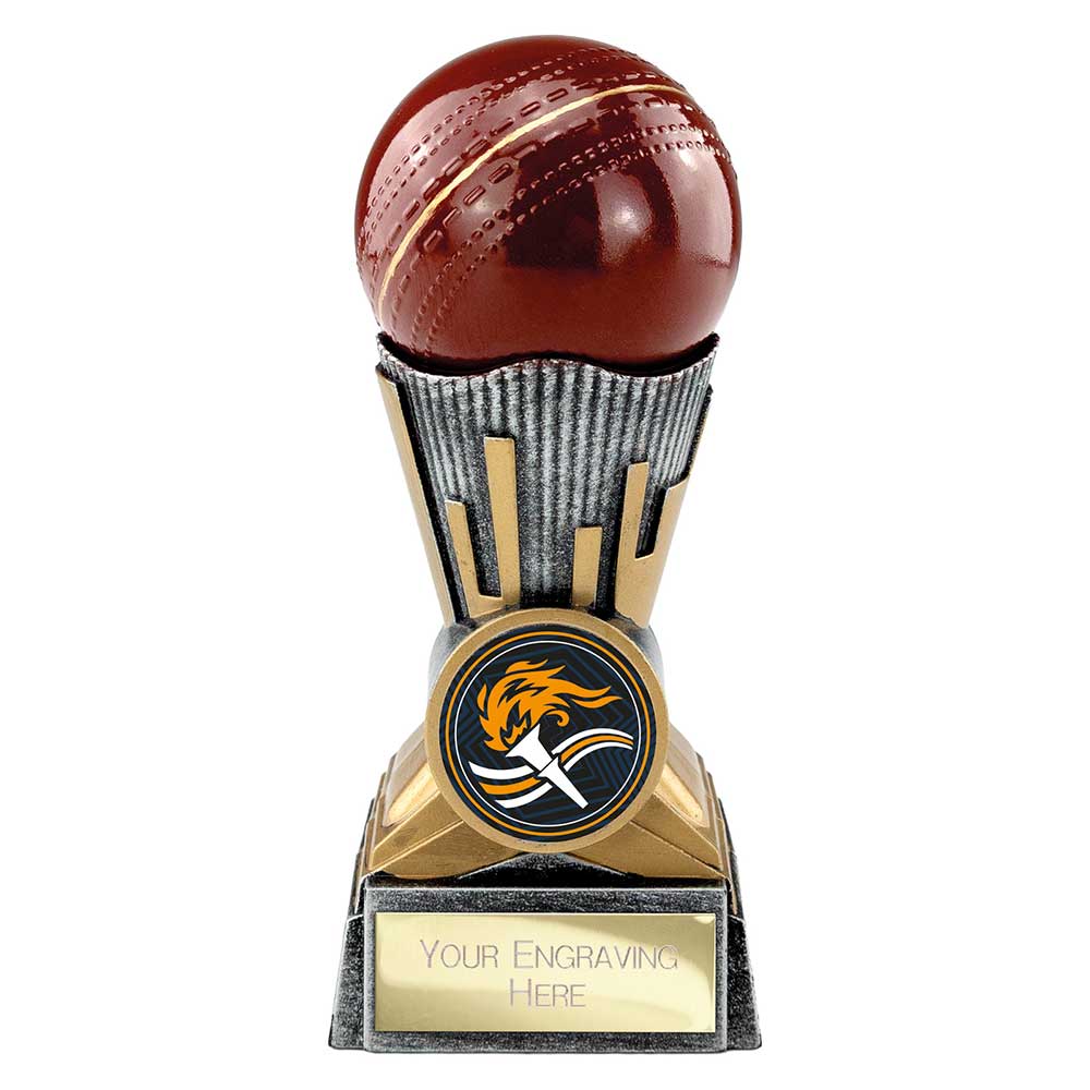 Digital Cricket Award Antique Silver & Gold