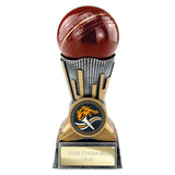 Digital Cricket Award Antique Silver & Gold