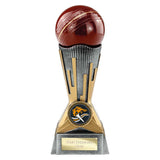 Digital Cricket Award Antique Silver & Gold