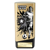 Prime Heavyweight Player Award (Various Options)
