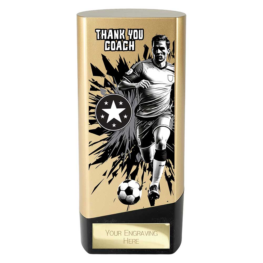 Prime Heavyweight Player Award (Various Options)