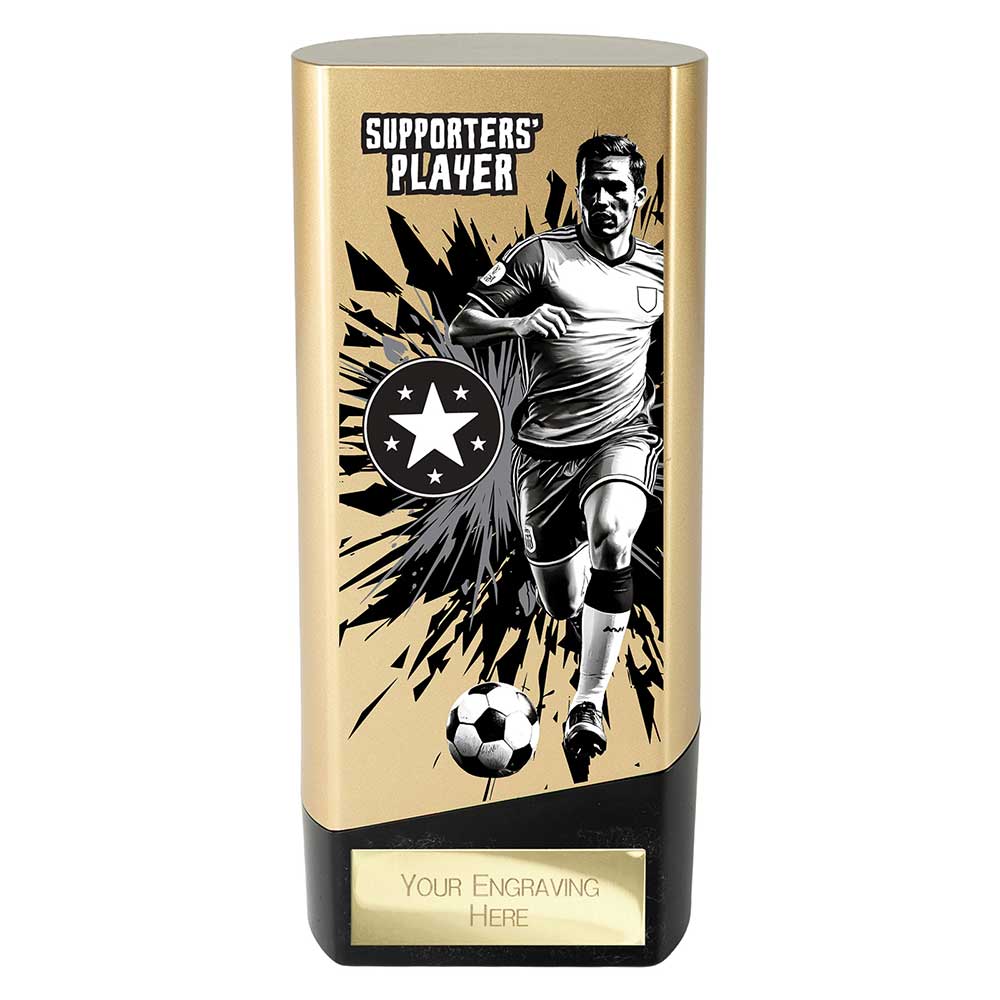 Prime Heavyweight Player Award (Various Options)