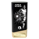Prime Heavyweight Player Award (Various Options)