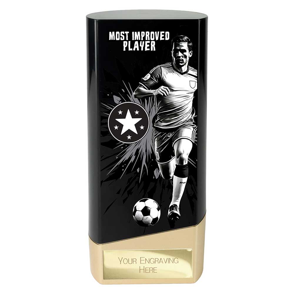 Prime Heavyweight Player Award (Various Options)