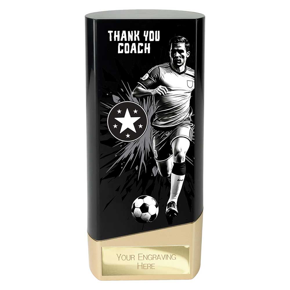 Prime Heavyweight Player Award (Various Options)