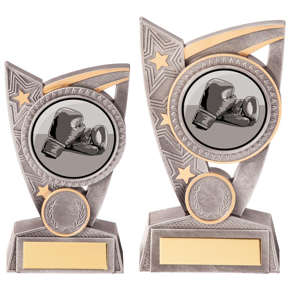 Triumph Boxing Award - Medals - Prudhoe Rosettes
