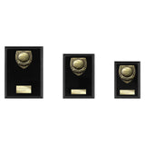 Cobra Plaque Basketball Award - Medals - Prudhoe Rosettes