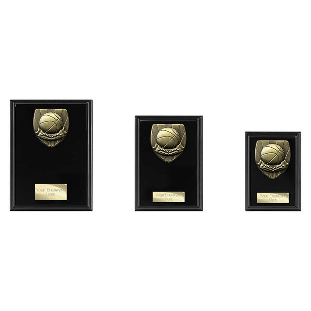 Cobra Plaque Basketball Award - Medals - Prudhoe Rosettes