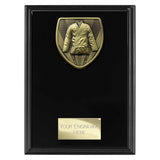 Cobra Plaque Martial Arts Gee Award