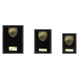 Cobra Plaque Football Goal Keeper Award - Trophies - Prudhoe Rosettes