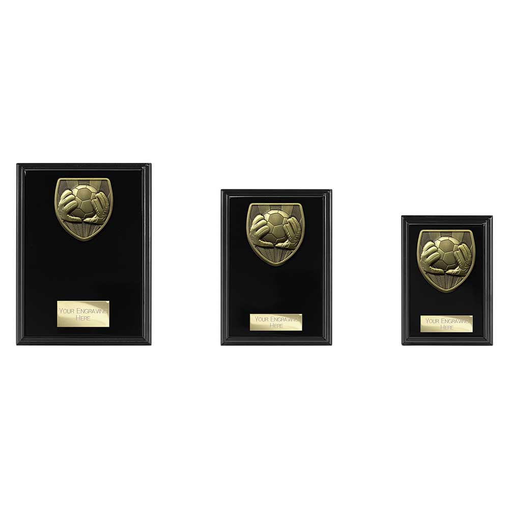 Cobra Plaque Football Goal Keeper Award - Trophies - Prudhoe Rosettes