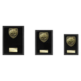 Cobra Plaque Football Goal Keeper Award - Trophies - Prudhoe Rosettes