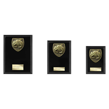 Cobra Plaque Football Goal Keeper Award - Trophies - Prudhoe Rosettes