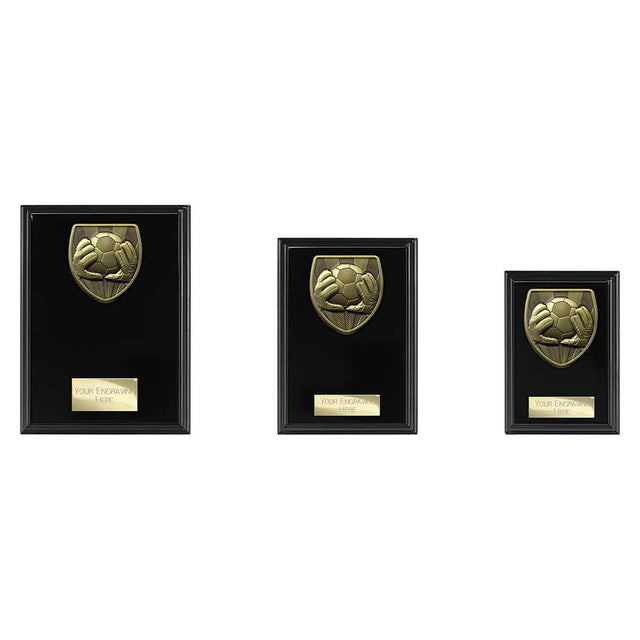 Cobra Plaque Football Goal Keeper Award - Trophies - Prudhoe Rosettes